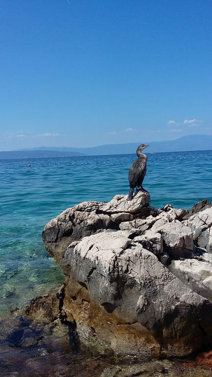 Apartman Mihael Malinska Dış mekan fotoğraf